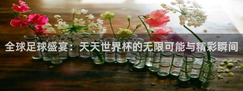 世界杯赛程表2026：全球足球盛宴：天天世界杯的无限可能与精彩瞬间