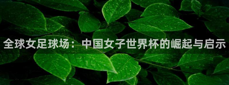 世界杯在线直播：全球女足球场：中国女子世界杯的崛起与启示