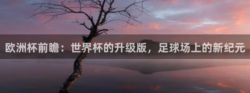 世界杯 赛程：欧洲杯前瞻：世界杯的升级版，足球场上的新纪元
