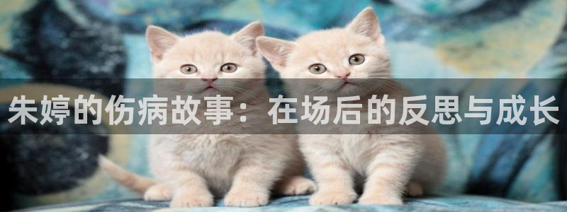 2026世界杯赛程：朱婷的伤病故事：在场后的反思与成长