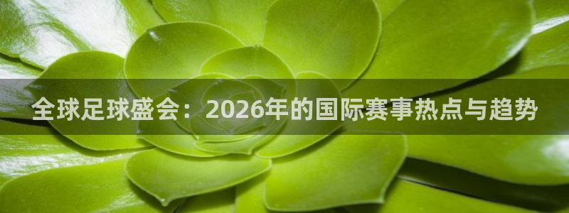 2026世界杯小组赛赛程时间表：全球足球盛会：2026年的国际赛事热点与趋势