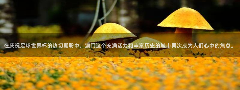 2026世界杯赛程表完整版：在庆祝足球世界杯的热切期盼中，澳门这个充满活力和丰富历史的城市再次成为人们心中的焦点。