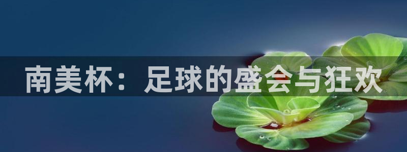 世界杯第一场比赛:南美杯:足球的盛会与狂欢