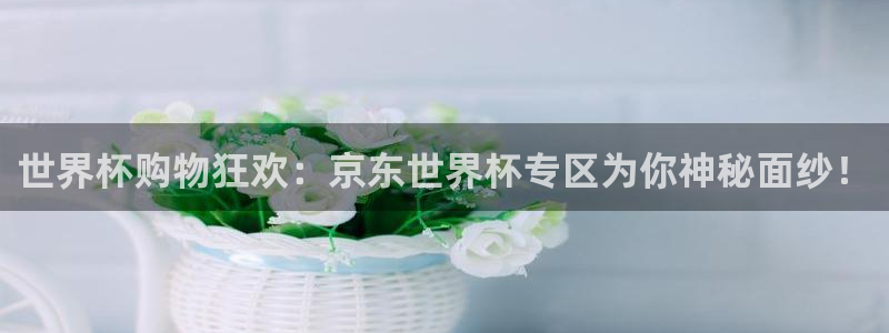 世界杯赛程表：世界杯购物狂欢：京东世界杯专区为你神秘面纱！