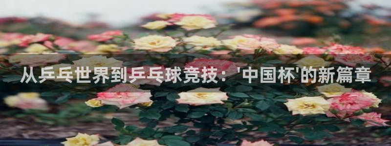 世界杯亚洲区预选赛赛程：从乒乓世界到乒乓球竞技：\'中国杯\'的新篇章