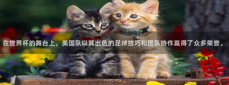 世界杯对阵表：在世界杯的舞台上，美国队以其出色的足球技巧和团队协作赢得了众多荣誉。