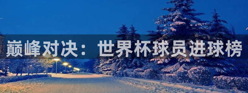 世界杯预选赛亚洲：巅峰对决：世界杯球员进球榜