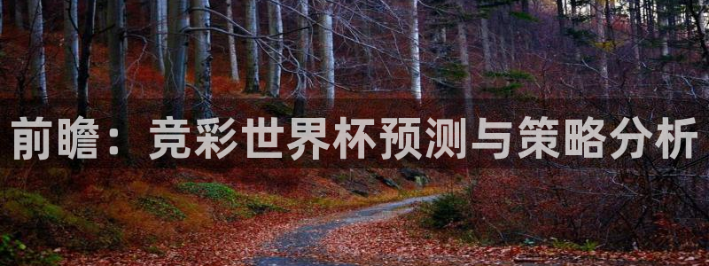 世界杯欧洲区预选赛：前瞻：竞彩世界杯预测与策略分析