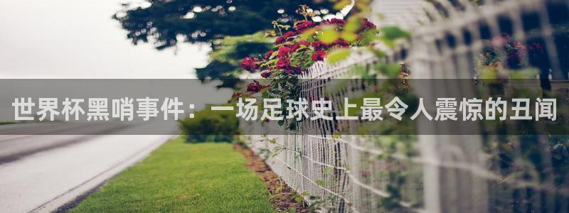 世界杯16强赛程表：世界杯黑哨事件：一场足球史上最令人震惊的丑闻