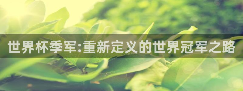 世界杯足球比赛：世界杯季军:重新定义的世界冠军之路