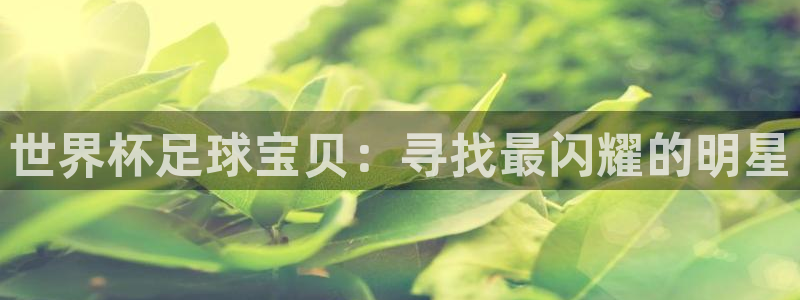 2026世界杯赛制：世界杯足球宝贝：寻找最闪耀的明星